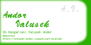 andor valusek business card